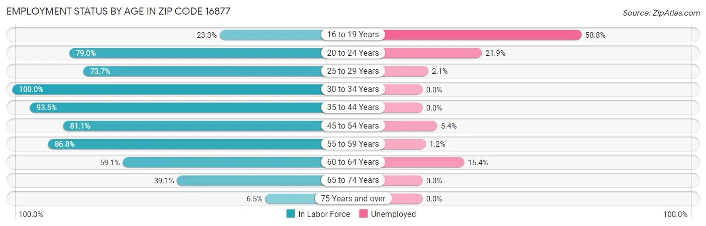 Employment Status by Age in Zip Code 16877