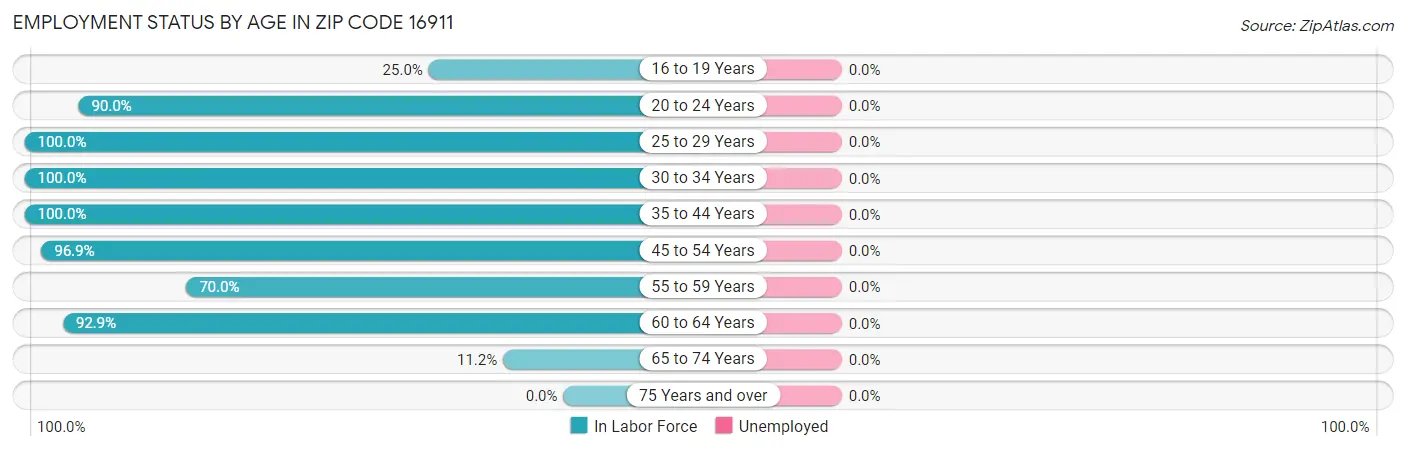 Employment Status by Age in Zip Code 16911