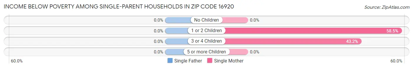 Income Below Poverty Among Single-Parent Households in Zip Code 16920