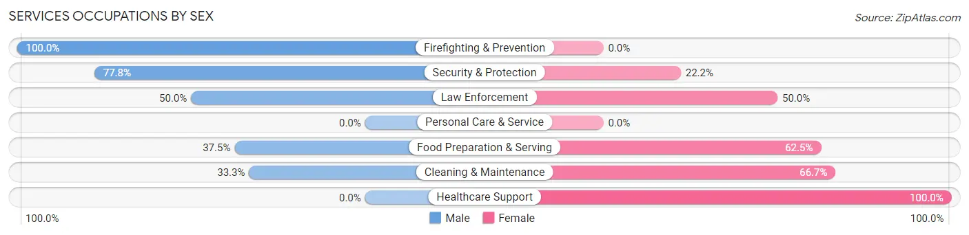 Services Occupations by Sex in Zip Code 16926