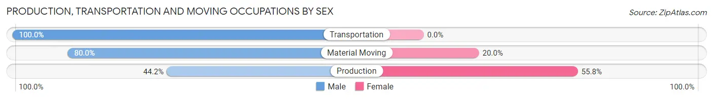 Production, Transportation and Moving Occupations by Sex in Zip Code 16928