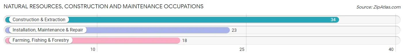 Natural Resources, Construction and Maintenance Occupations in Zip Code 16932