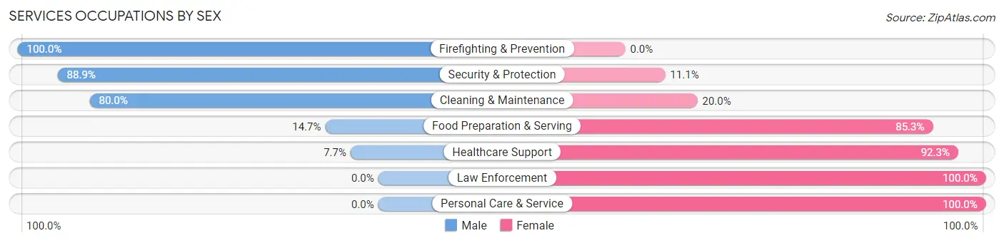 Services Occupations by Sex in Zip Code 16936
