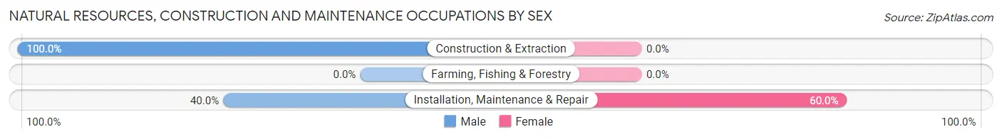Natural Resources, Construction and Maintenance Occupations by Sex in Zip Code 16939