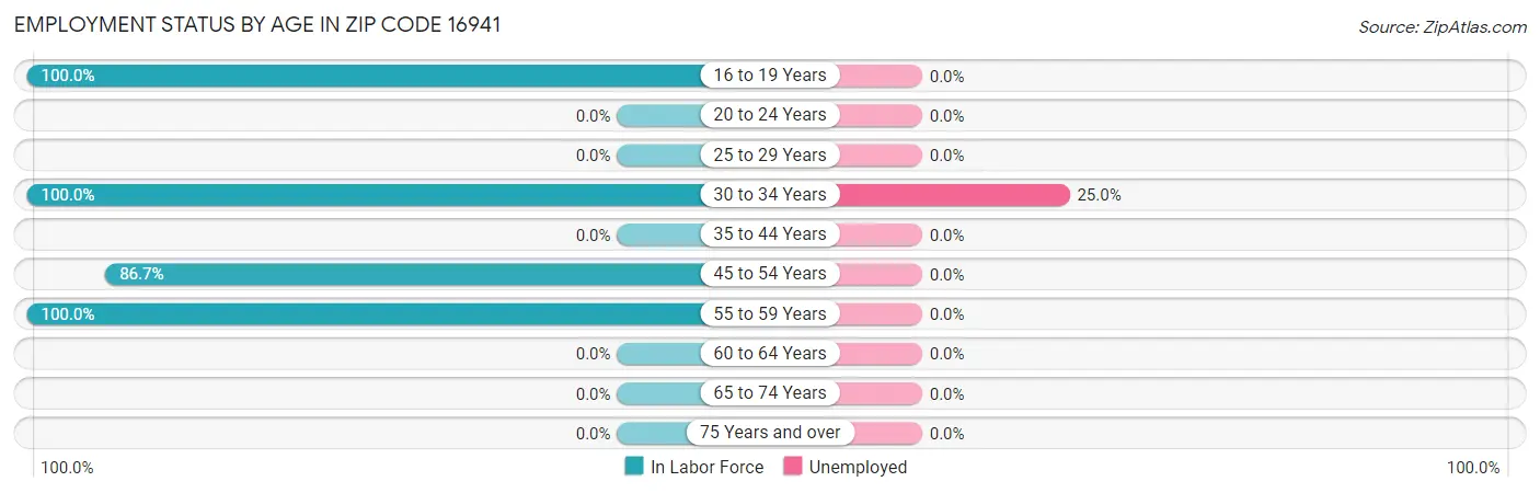 Employment Status by Age in Zip Code 16941