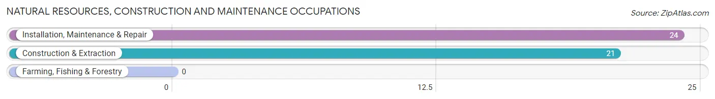 Natural Resources, Construction and Maintenance Occupations in Zip Code 16942