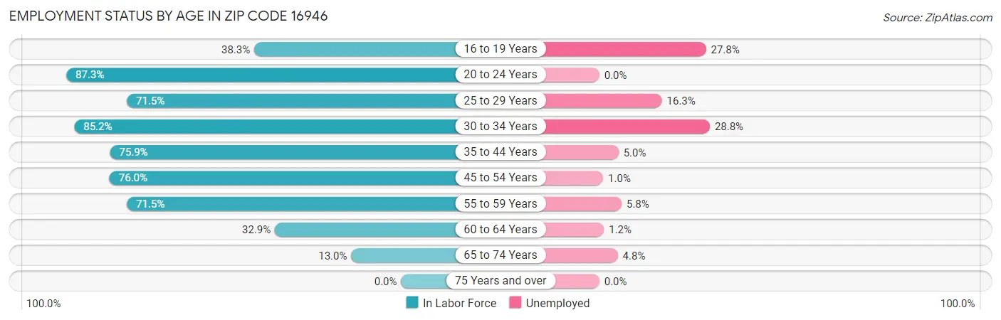 Employment Status by Age in Zip Code 16946