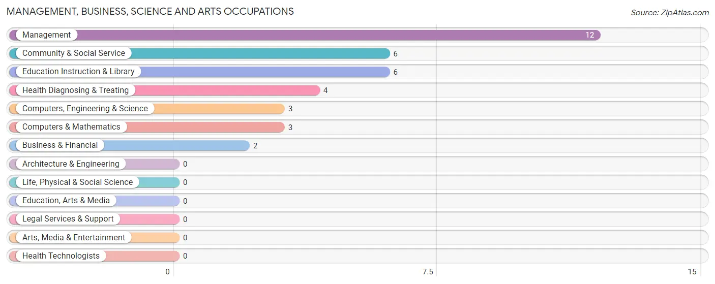 Management, Business, Science and Arts Occupations in Zip Code 17005