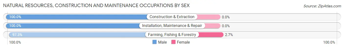 Natural Resources, Construction and Maintenance Occupations by Sex in Zip Code 17006