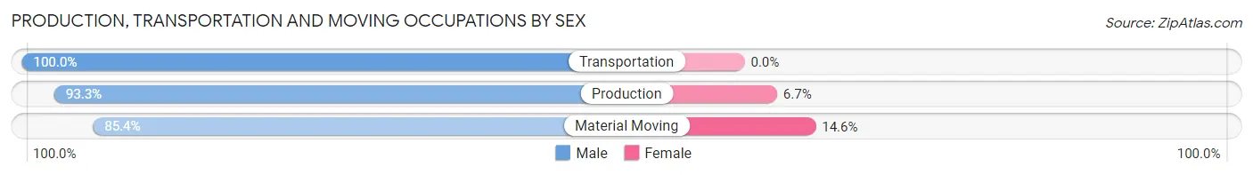 Production, Transportation and Moving Occupations by Sex in Zip Code 17006