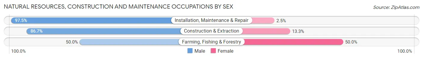 Natural Resources, Construction and Maintenance Occupations by Sex in Zip Code 17011
