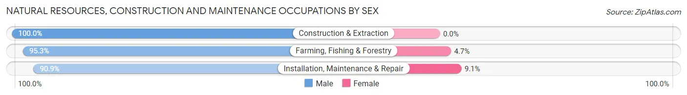 Natural Resources, Construction and Maintenance Occupations by Sex in Zip Code 17013