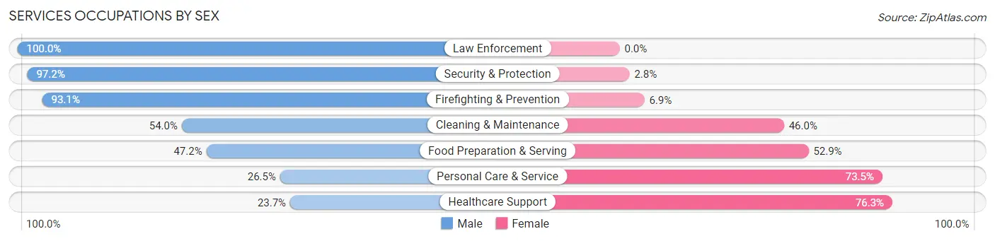 Services Occupations by Sex in Zip Code 17013