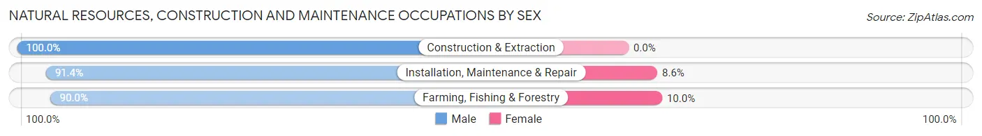Natural Resources, Construction and Maintenance Occupations by Sex in Zip Code 17017
