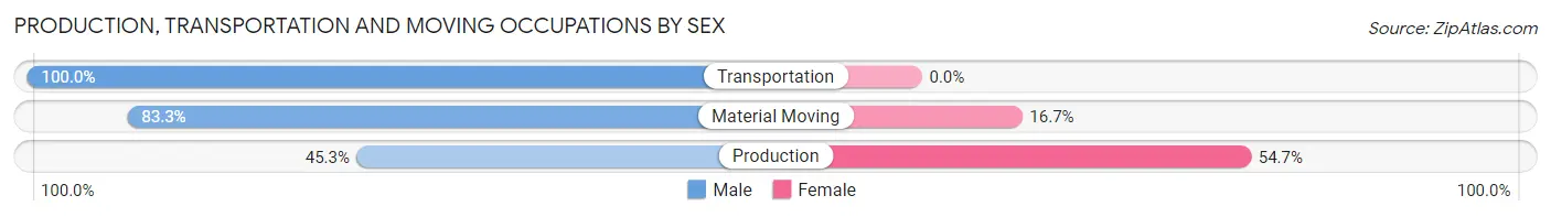 Production, Transportation and Moving Occupations by Sex in Zip Code 17018