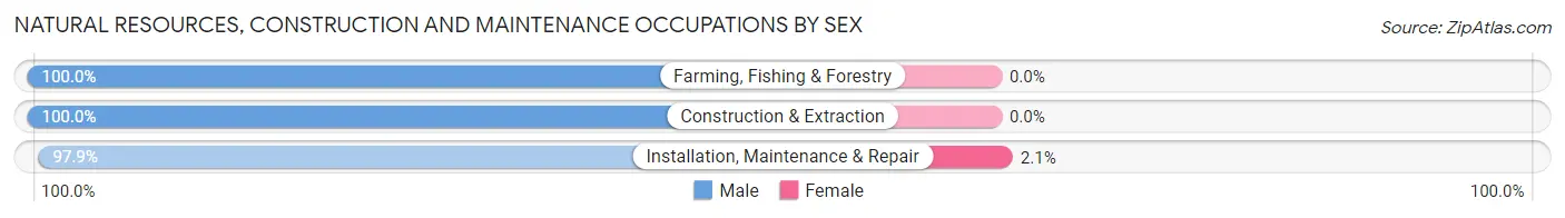 Natural Resources, Construction and Maintenance Occupations by Sex in Zip Code 17020