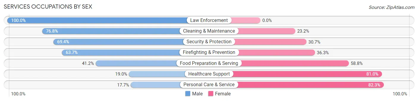 Services Occupations by Sex in Zip Code 17022