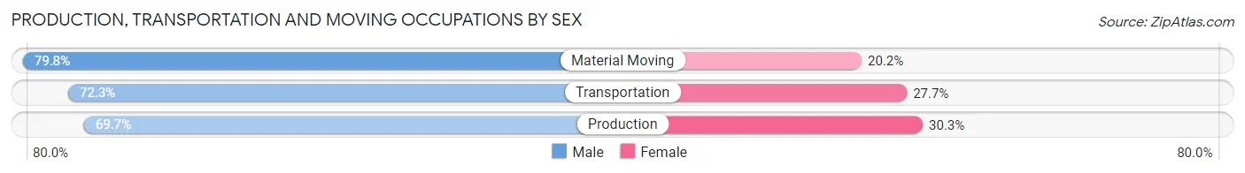 Production, Transportation and Moving Occupations by Sex in Zip Code 17023