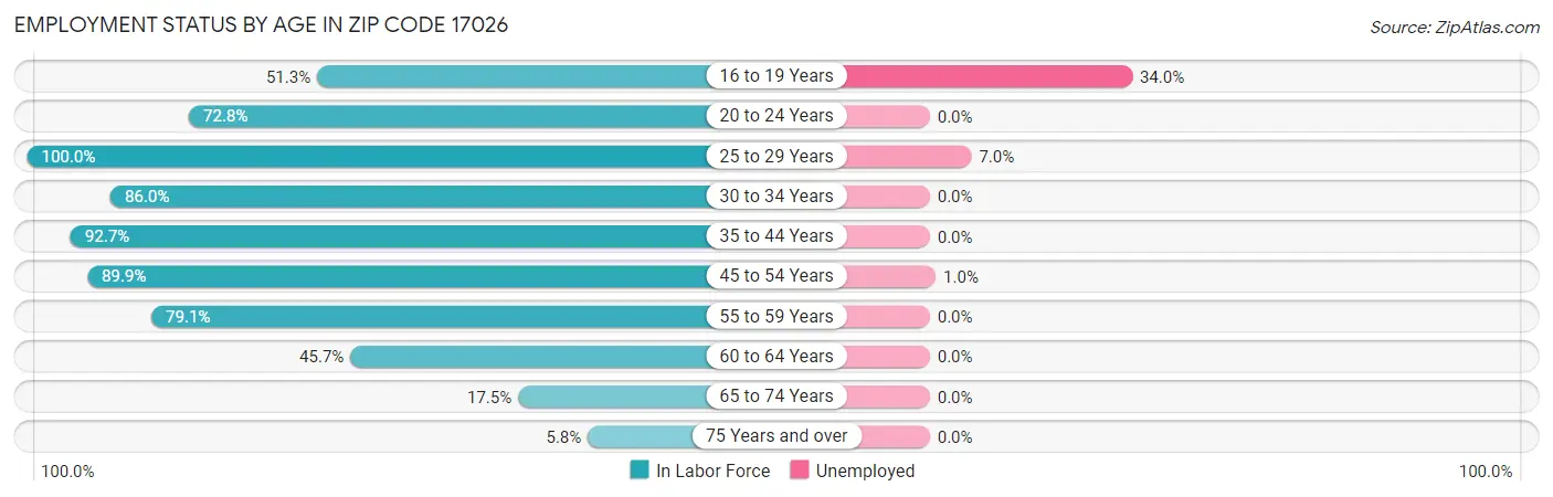 Employment Status by Age in Zip Code 17026