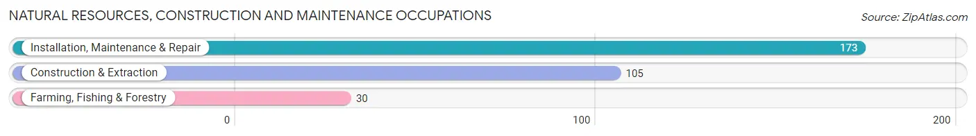 Natural Resources, Construction and Maintenance Occupations in Zip Code 17028