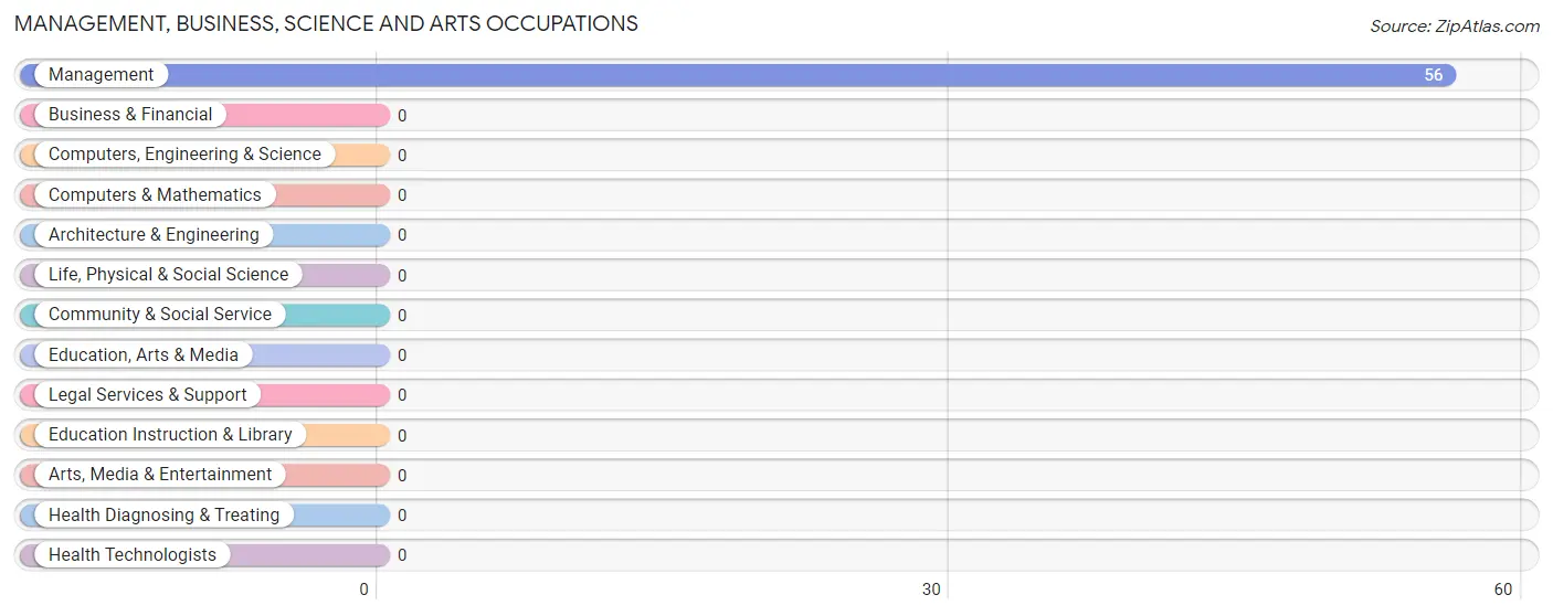 Management, Business, Science and Arts Occupations in Zip Code 17029