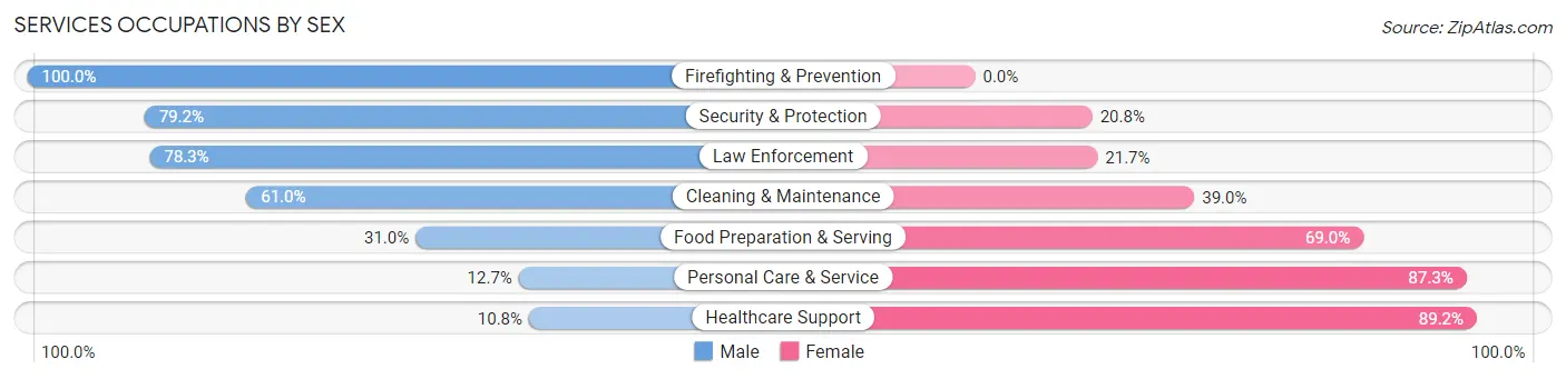 Services Occupations by Sex in Zip Code 17032