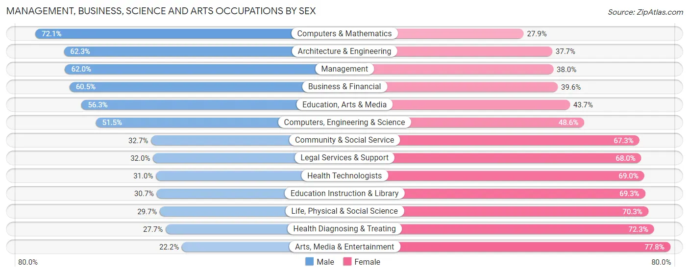 Management, Business, Science and Arts Occupations by Sex in Zip Code 17033