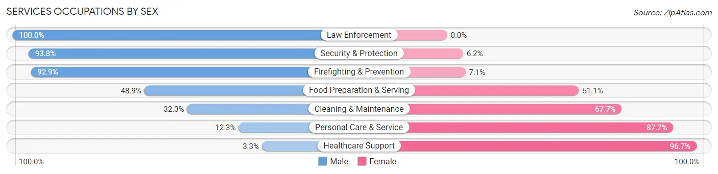 Services Occupations by Sex in Zip Code 17033