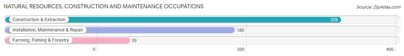 Natural Resources, Construction and Maintenance Occupations in Zip Code 17036