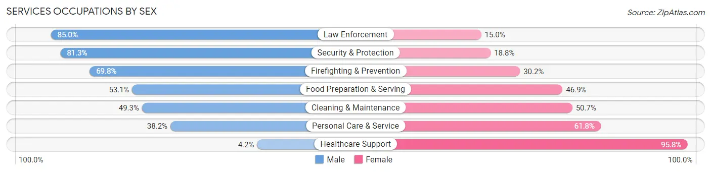 Services Occupations by Sex in Zip Code 17036
