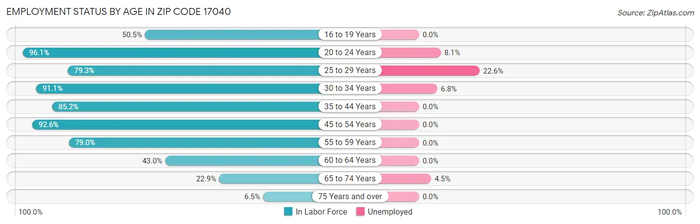 Employment Status by Age in Zip Code 17040