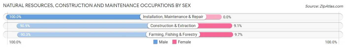 Natural Resources, Construction and Maintenance Occupations by Sex in Zip Code 17047