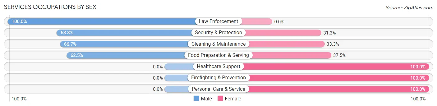 Services Occupations by Sex in Zip Code 17058