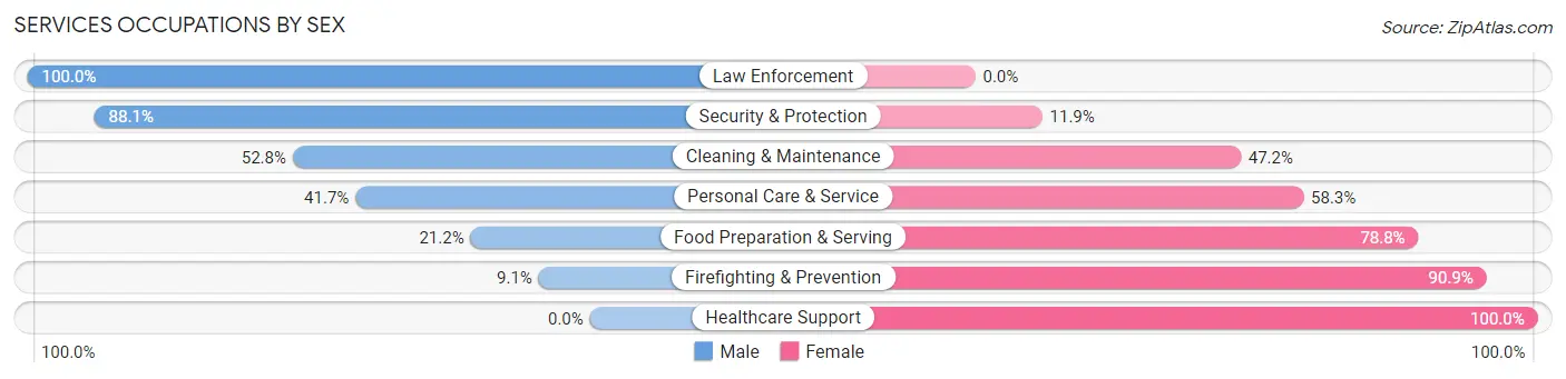 Services Occupations by Sex in Zip Code 17059