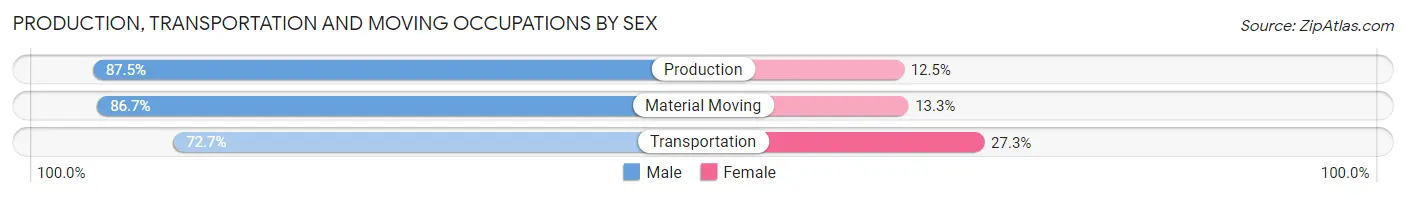 Production, Transportation and Moving Occupations by Sex in Zip Code 17060