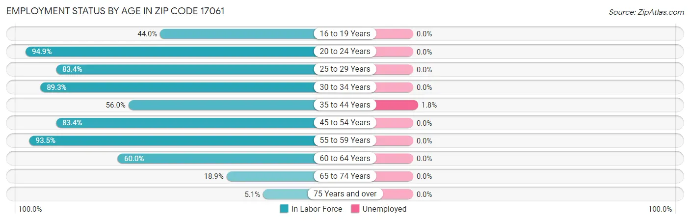 Employment Status by Age in Zip Code 17061