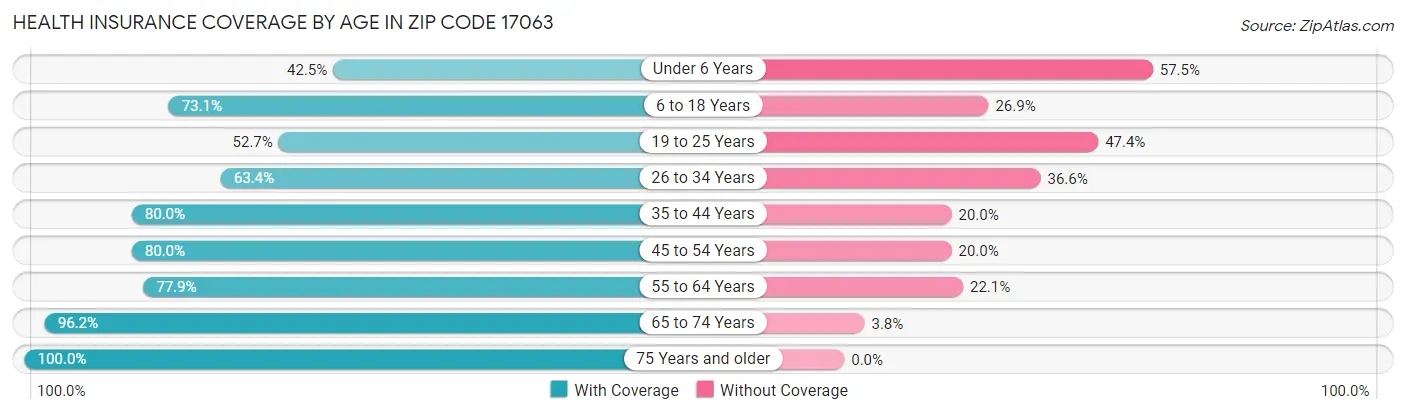 Health Insurance Coverage by Age in Zip Code 17063
