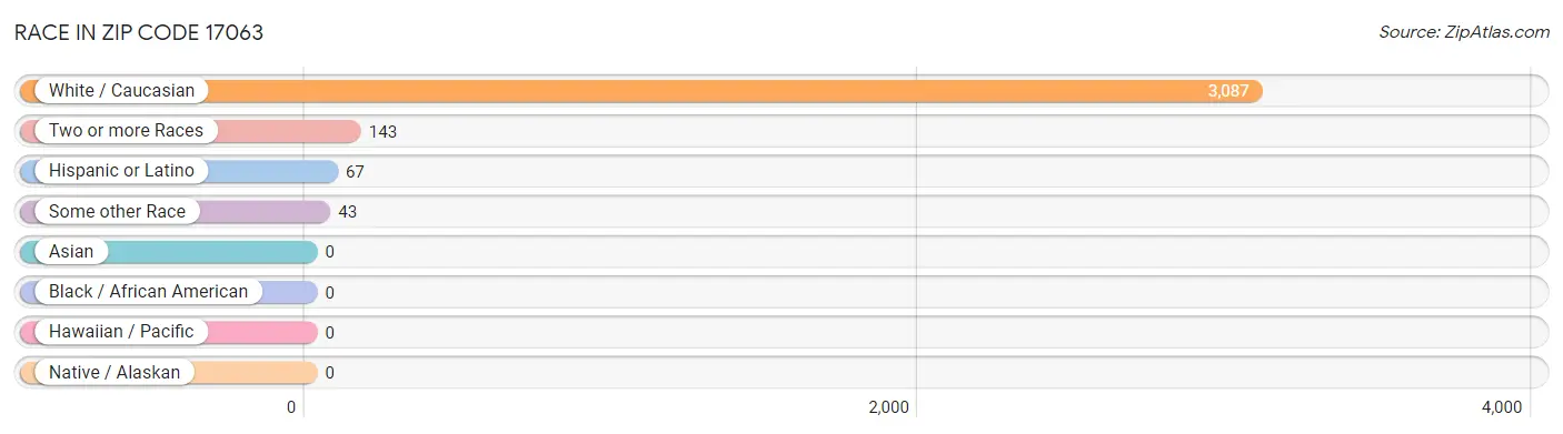 Race in Zip Code 17063