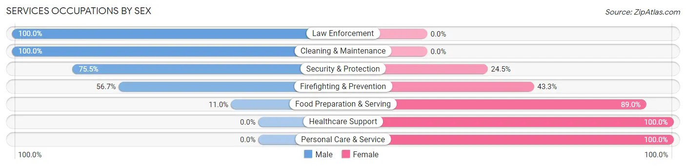 Services Occupations by Sex in Zip Code 17063