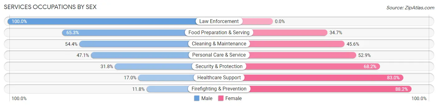 Services Occupations by Sex in Zip Code 17065