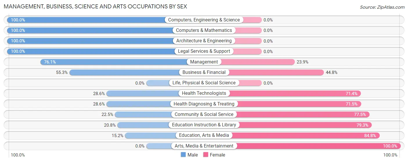 Management, Business, Science and Arts Occupations by Sex in Zip Code 17067