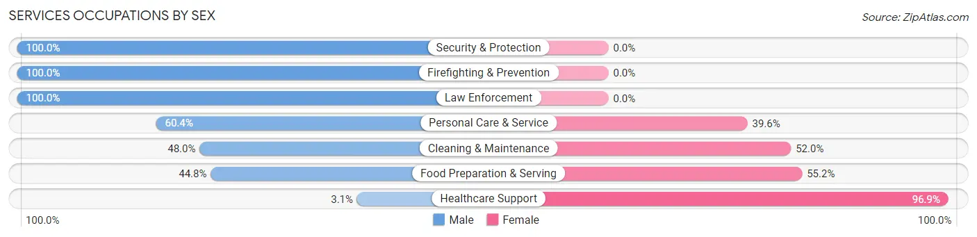 Services Occupations by Sex in Zip Code 17067
