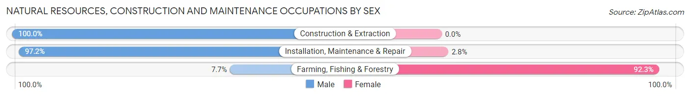 Natural Resources, Construction and Maintenance Occupations by Sex in Zip Code 17070