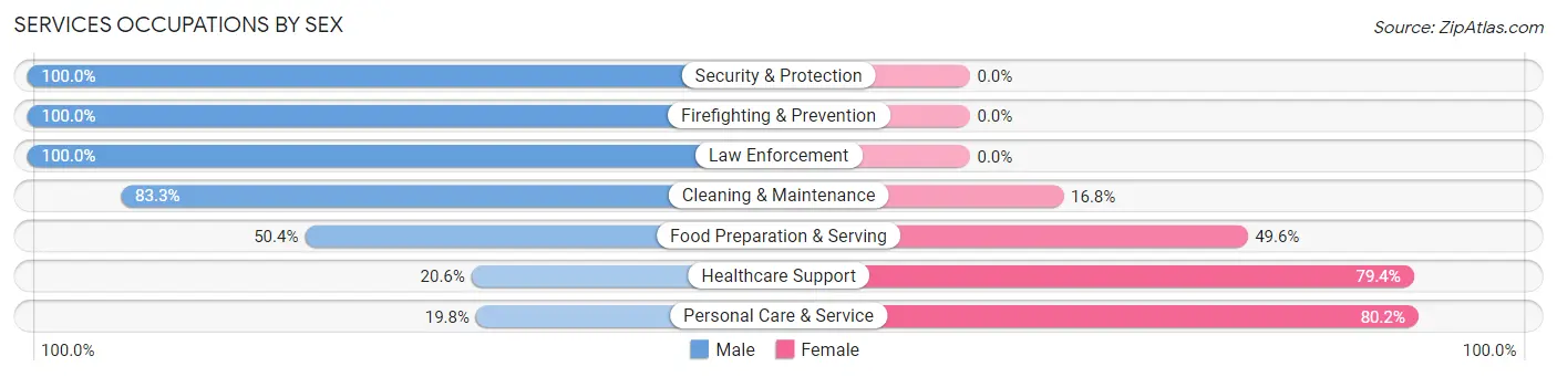 Services Occupations by Sex in Zip Code 17070
