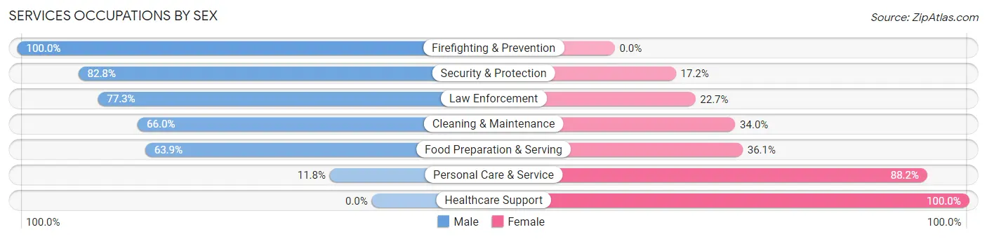 Services Occupations by Sex in Zip Code 17074