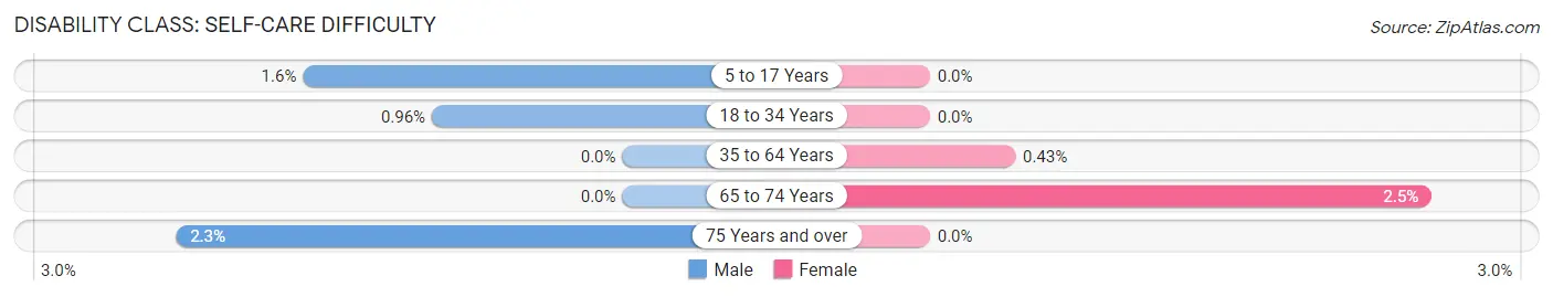 Disability in Zip Code 17087: <span>Self-Care Difficulty</span>