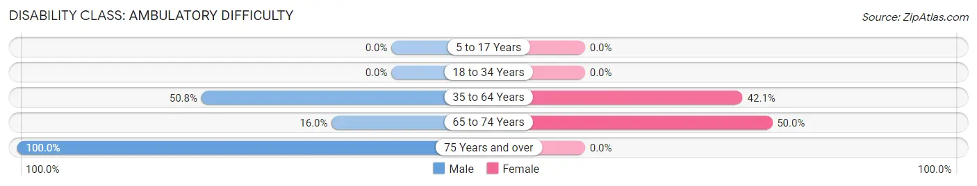 Disability in Zip Code 17088: <span>Ambulatory Difficulty</span>