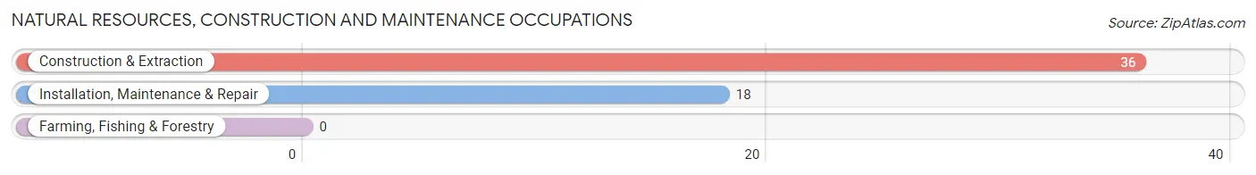 Natural Resources, Construction and Maintenance Occupations in Zip Code 17088