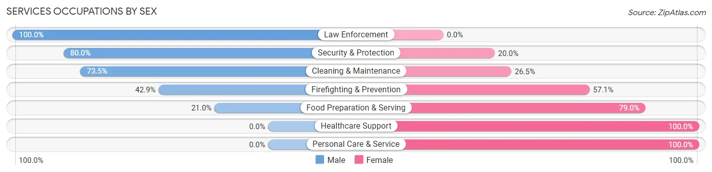 Services Occupations by Sex in Zip Code 17098