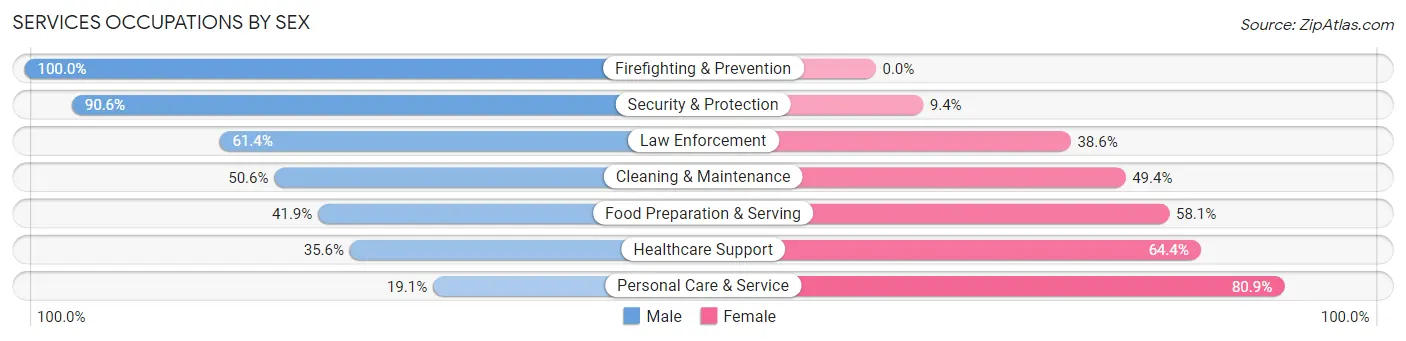 Services Occupations by Sex in Zip Code 17109